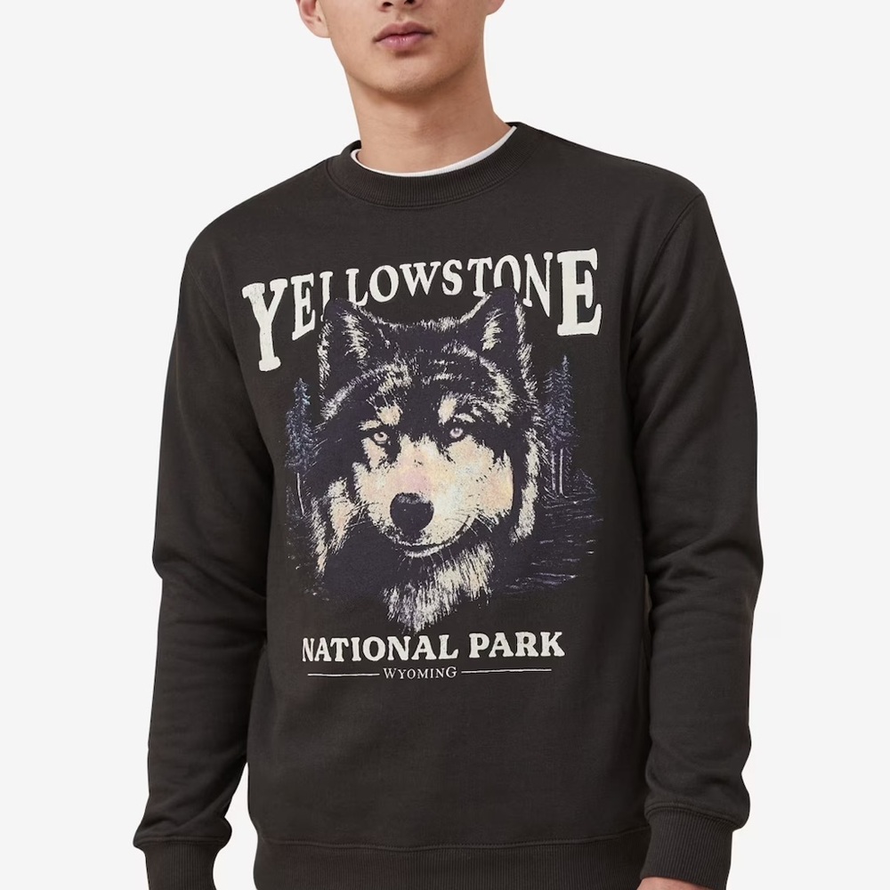 Cotton On Brown Yellowstone Crewneck Sweater